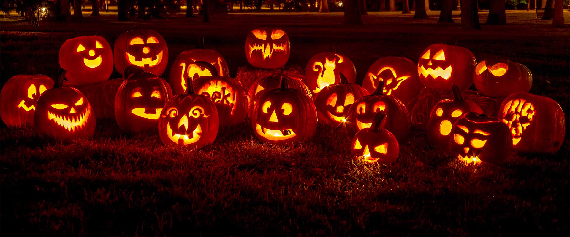 pumpkin_Article-hero-image-1920x800px.jpg