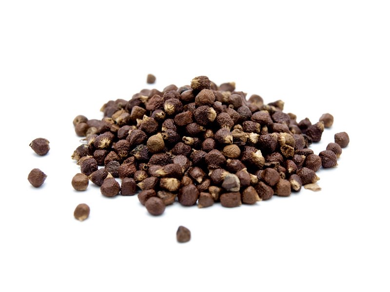 Papar malaguetta zrno.jpg