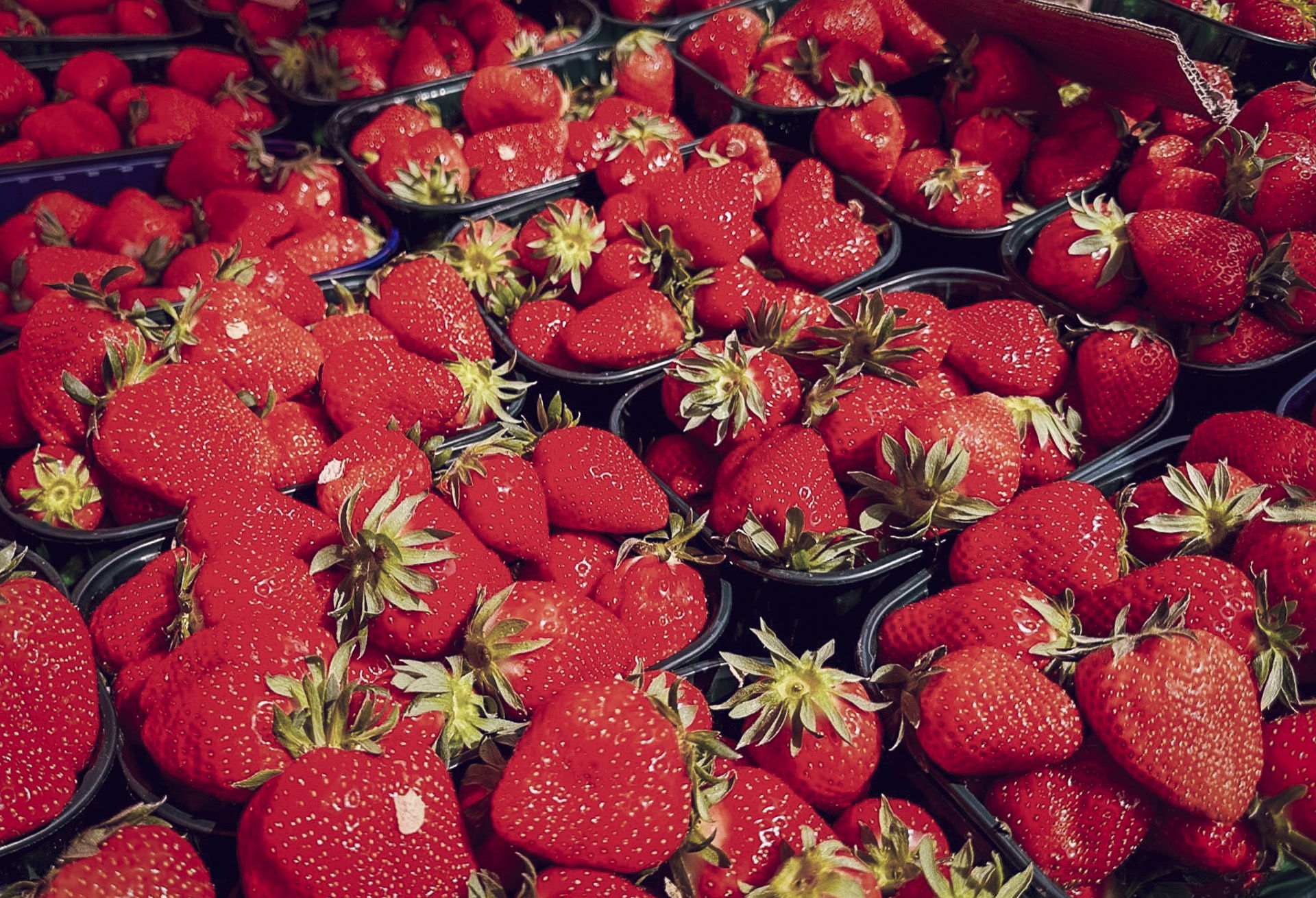 Proljece u Harissi header-1.jpg