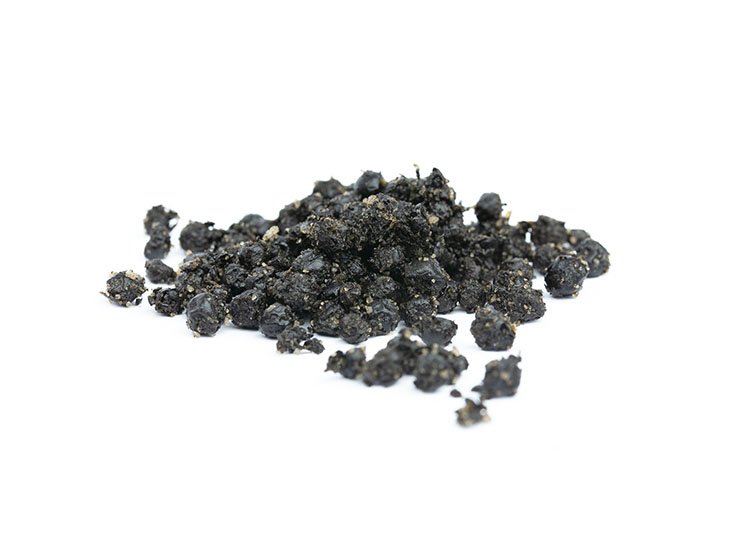 Papar zrno crni fermentiran u soli.jpg