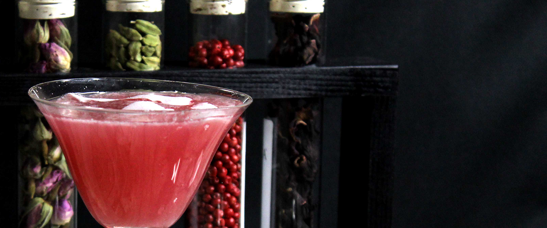 header_coquito2.png