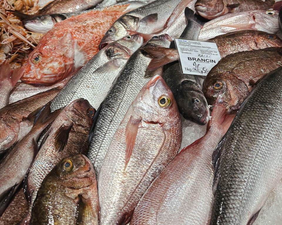 Harissa Spice Store - Kasno Ljeto Na Tržnici